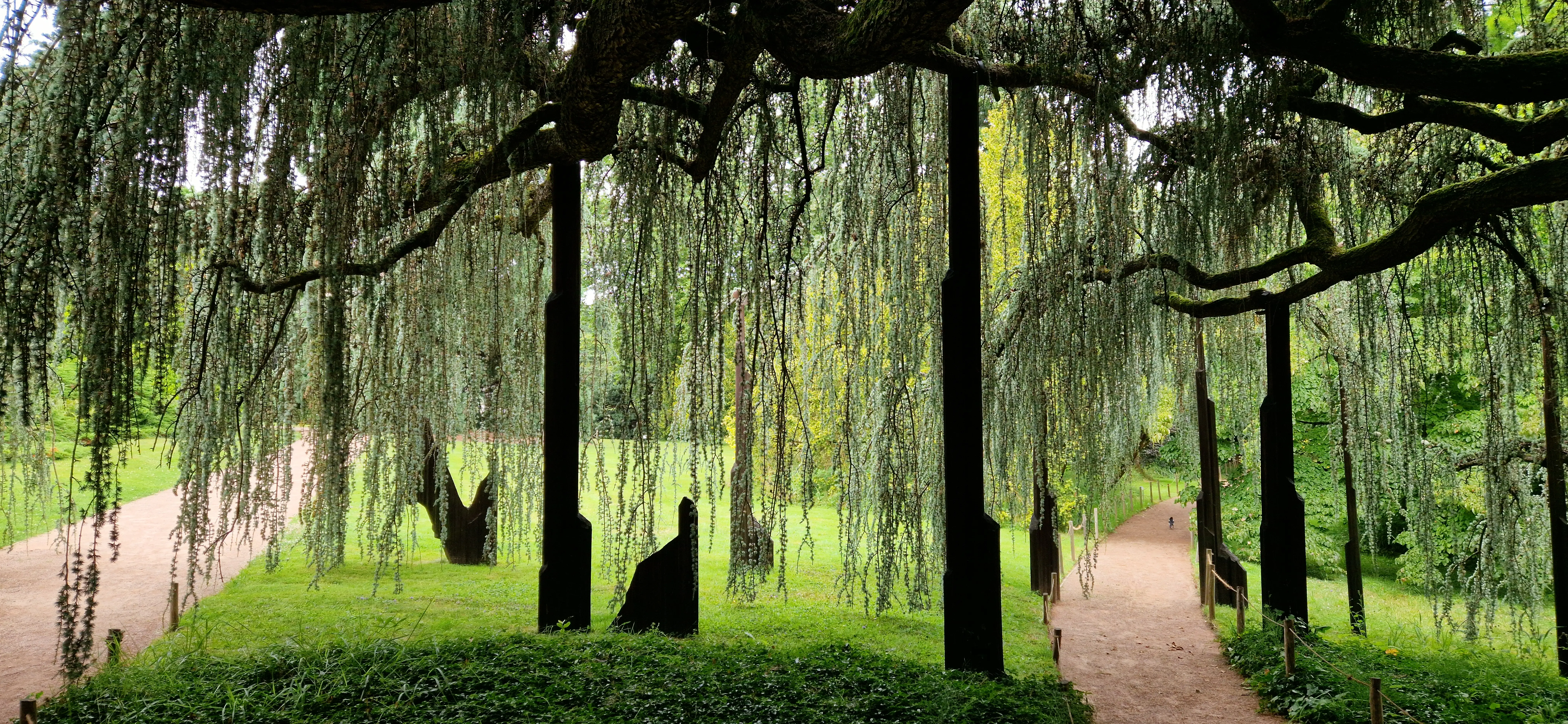 Arboretum de la vallée du loup