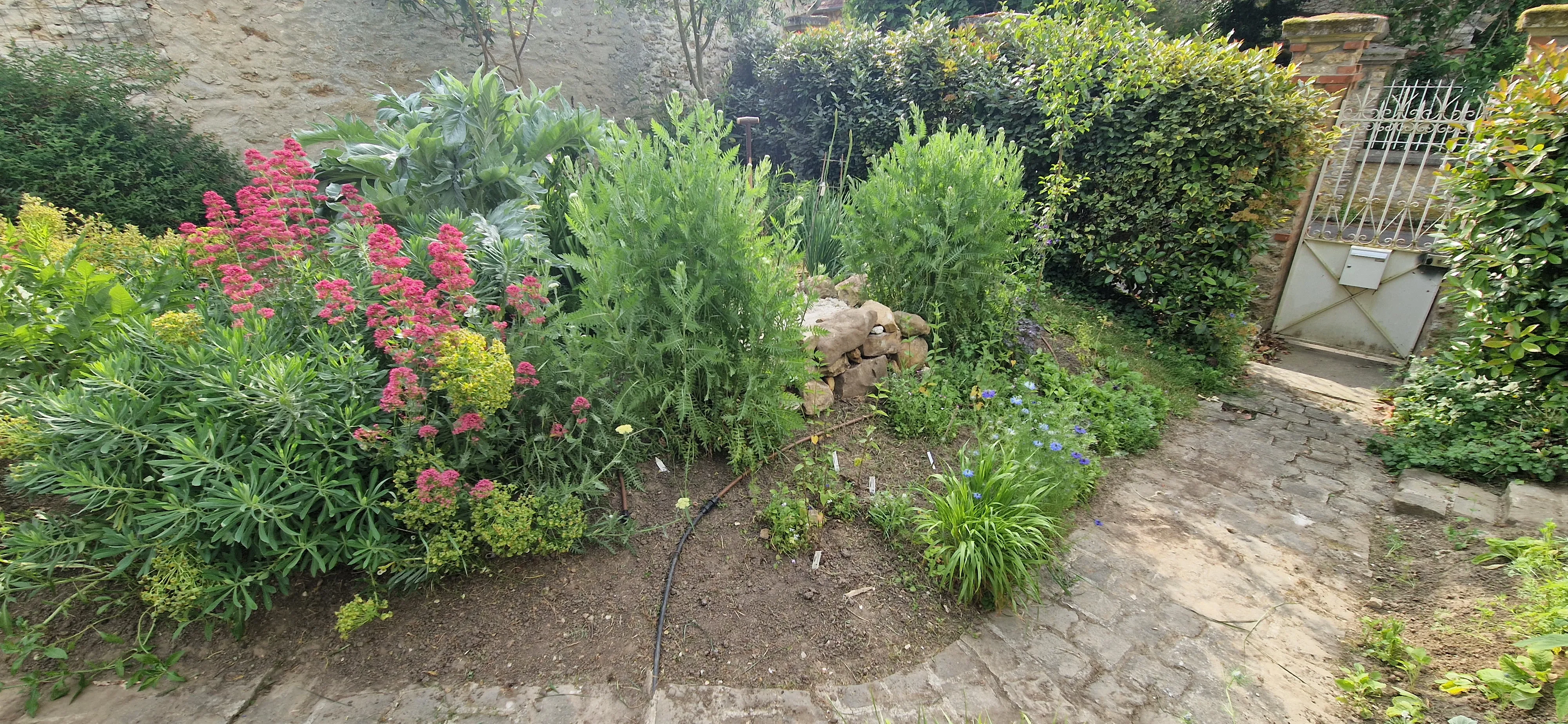 Aménagement de jardin réalisé par PaysaFlore