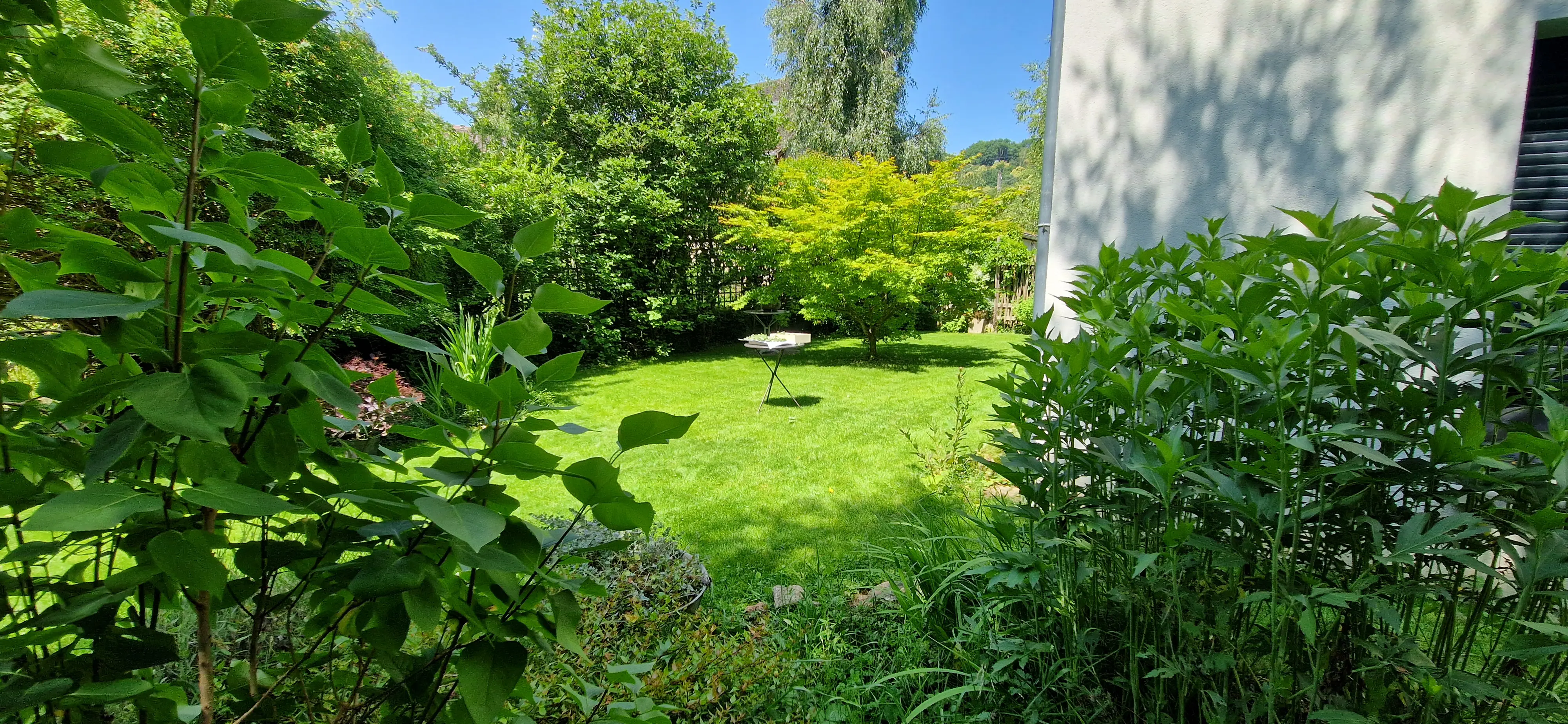 Création de jardin réalisée par PaysaFlore