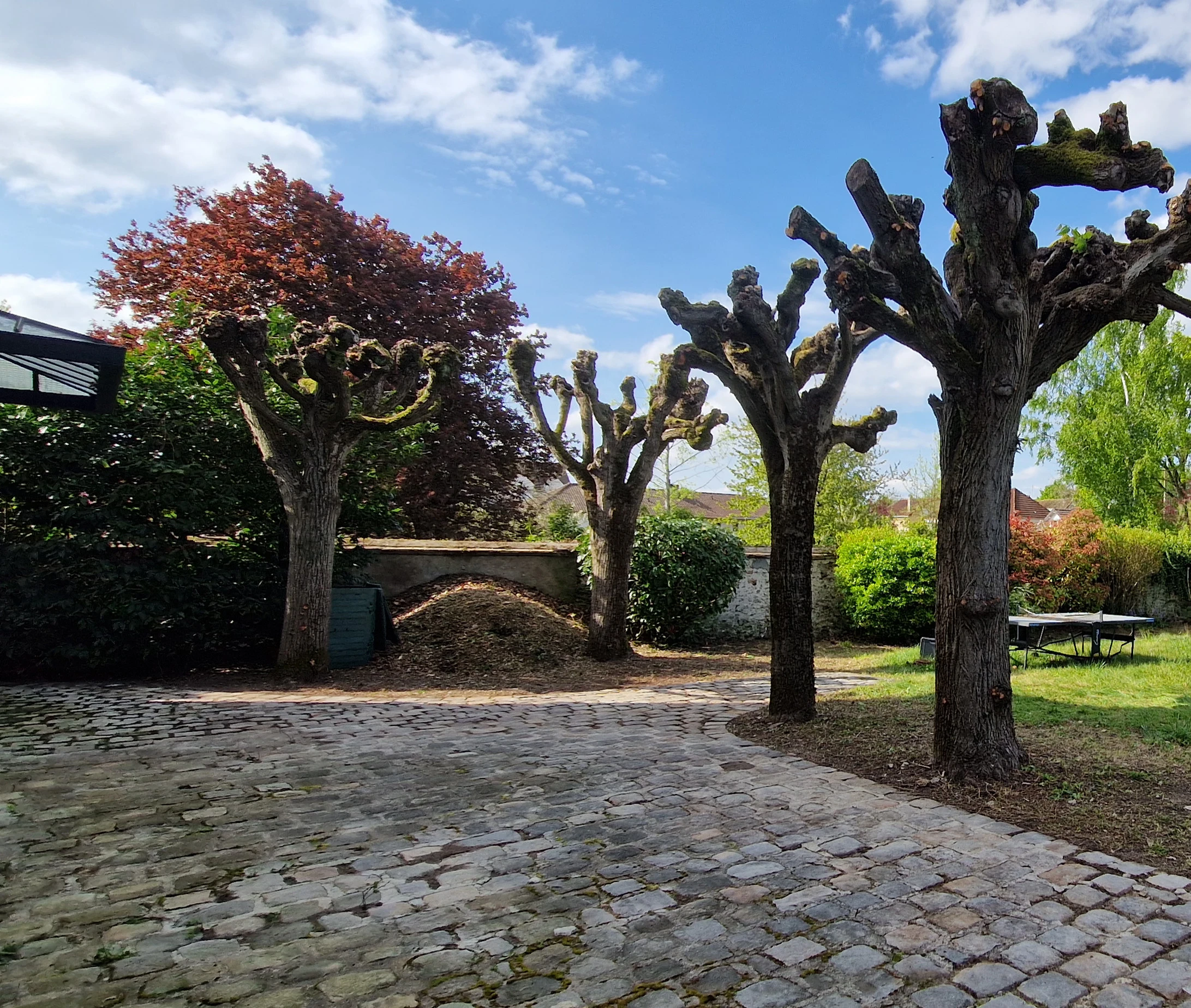 Taille des arbres fruitiers et élagage réalisés par PaysaFlore