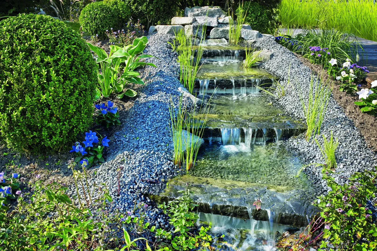 Bassin et ruisseau paysagers réalisés par PaysaFlore